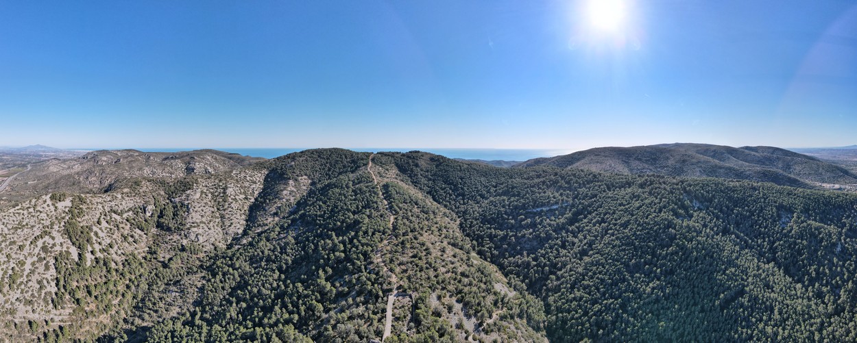 Santa Magdalena de Pulpis